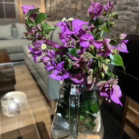 Zen Casa House Appartement