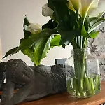 Zen Casa House Gijon