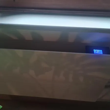 Zen Casa House דירה