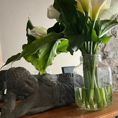 Zen Casa House גיחון