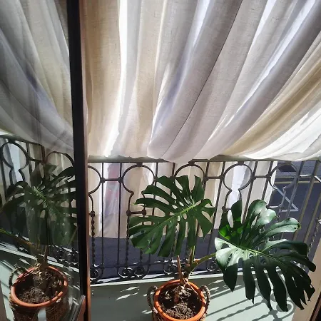 Zen Casa House * גיחון