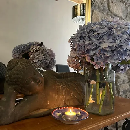 Zen Casa House * גיחון