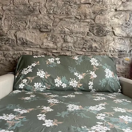 Zen Casa House דירה גיחון