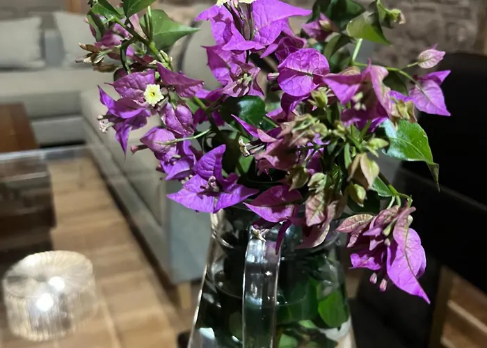 Zen Casa House Apartman